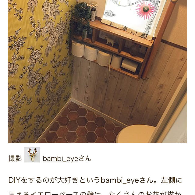 bambi_eyeさんの実例写真