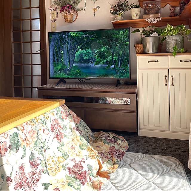 ronronさんの部屋