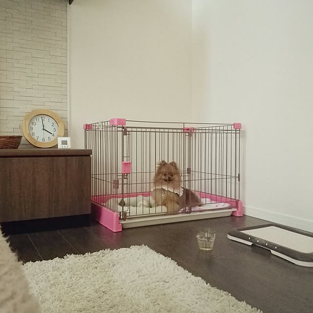 kamatariさんの実例写真