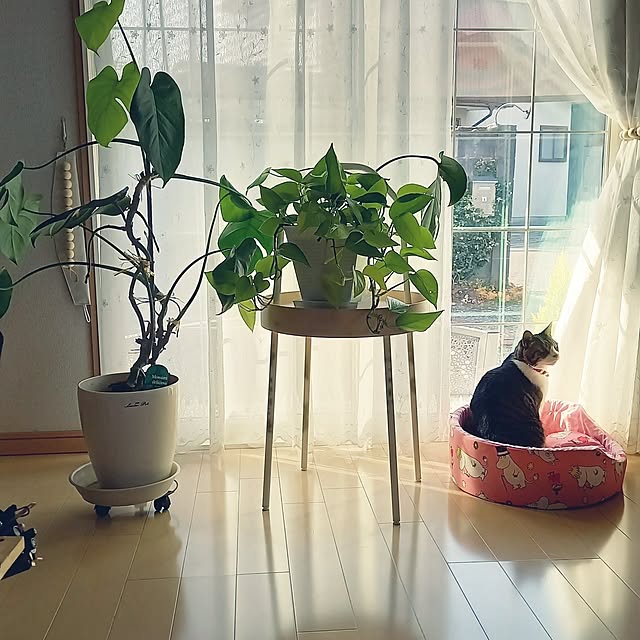 civicglさんの部屋