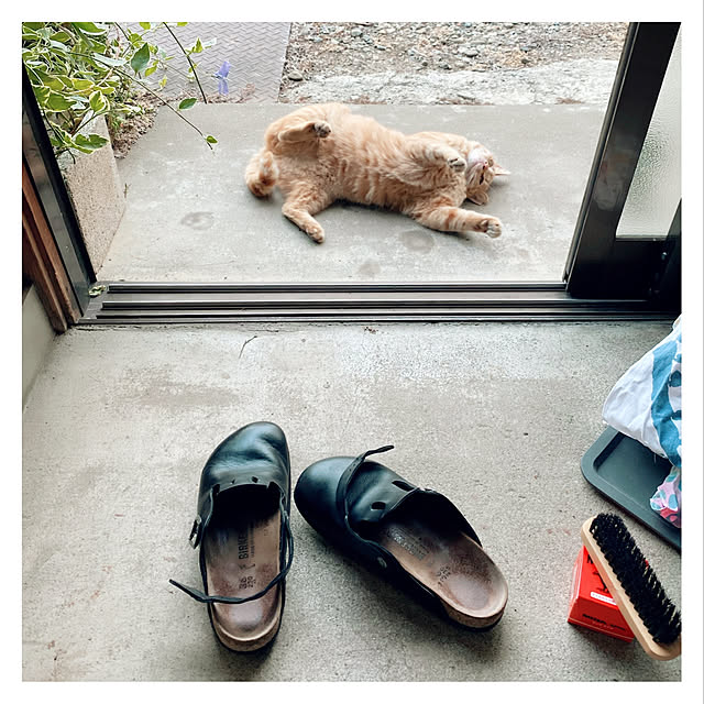Maicoさんの実例写真