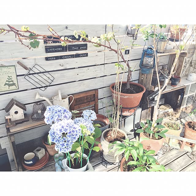 oliveさんの実例写真