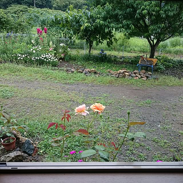 pepeさんの実例写真