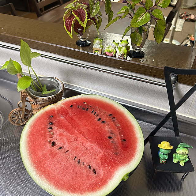 ritsukoさんの部屋