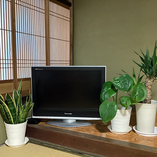 conatuさんの実例写真