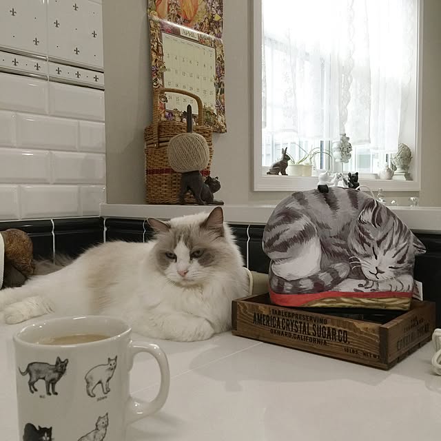 yuchiさんの実例写真