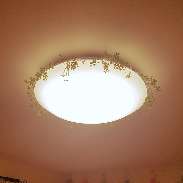 Miyukiさんの実例写真