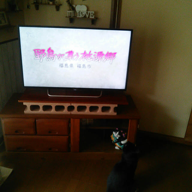 Tomopさんの実例写真