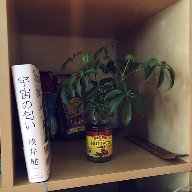 Taroさんの実例写真