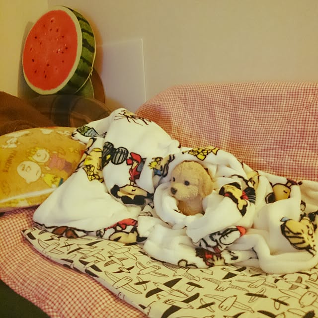 rinmarorinさんの実例写真