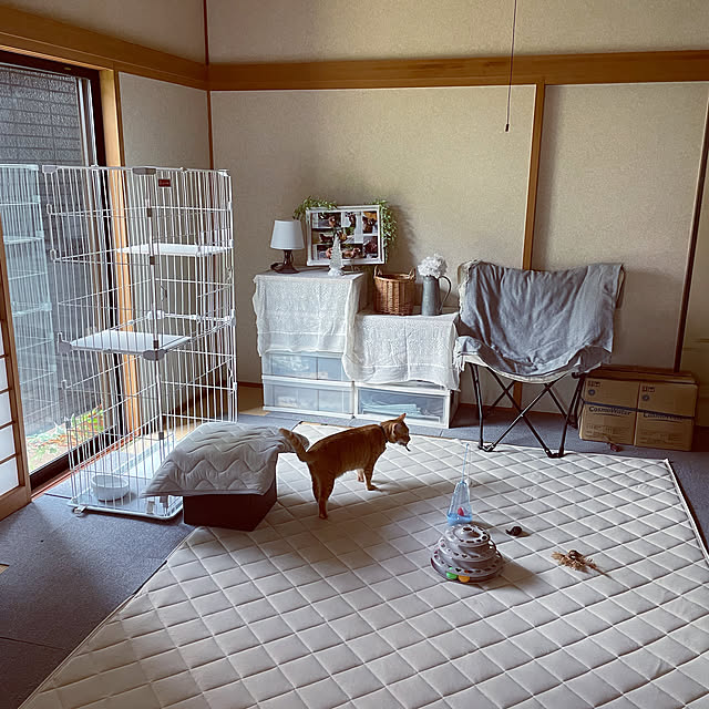 himetanさんの実例写真