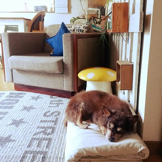 tomominさんの実例写真