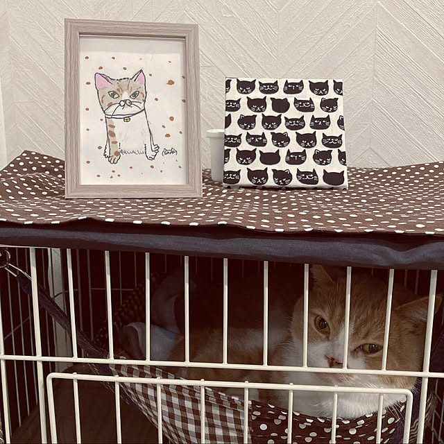 monchanさんの実例写真