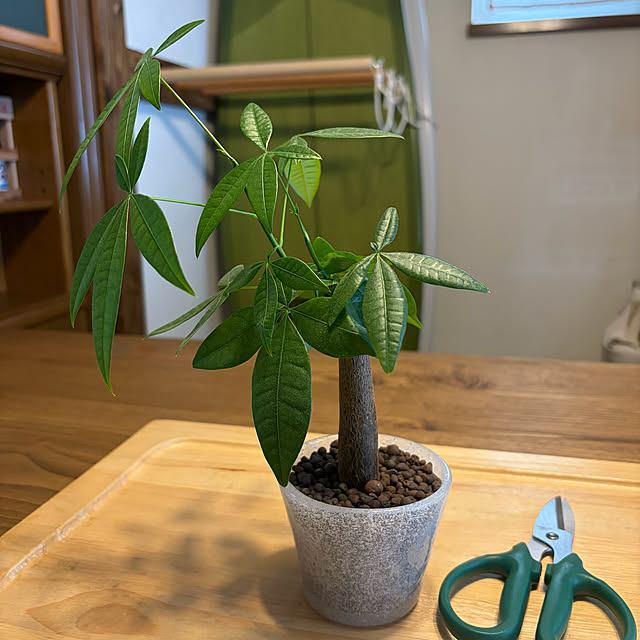 505さんの実例写真