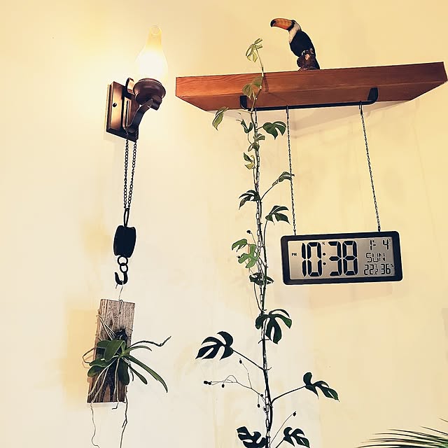 rimoleoさんの実例写真