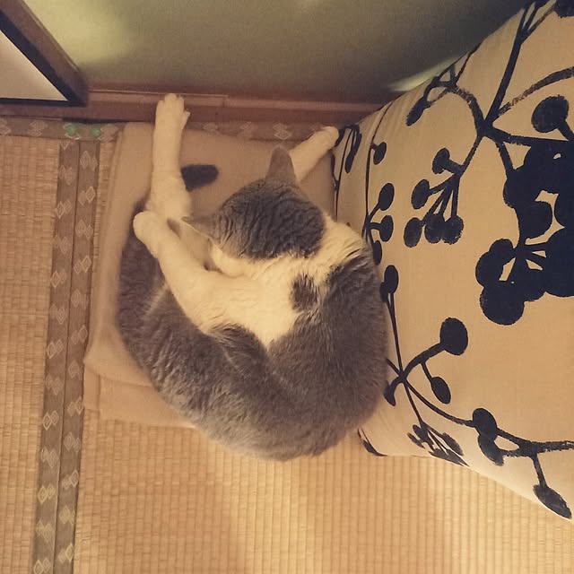 rhuさんの部屋