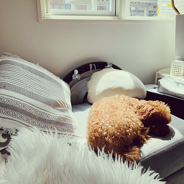 minminさんの部屋