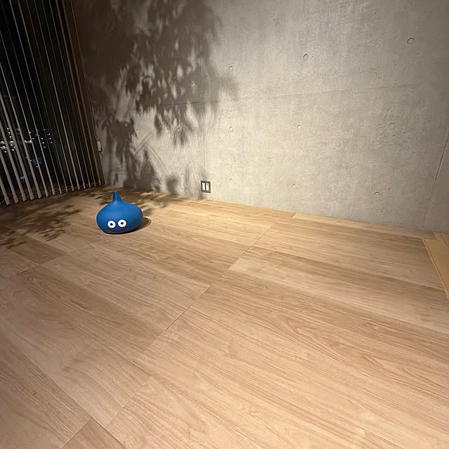 bassa_さんの実例写真