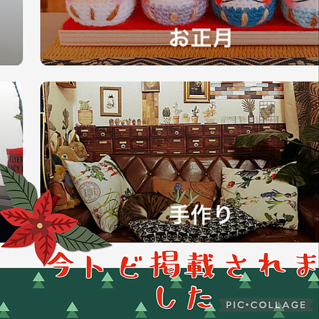 jijiさんの実例写真