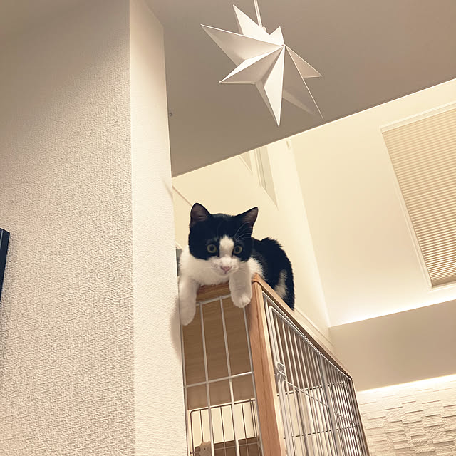 lei_laniさんの実例写真