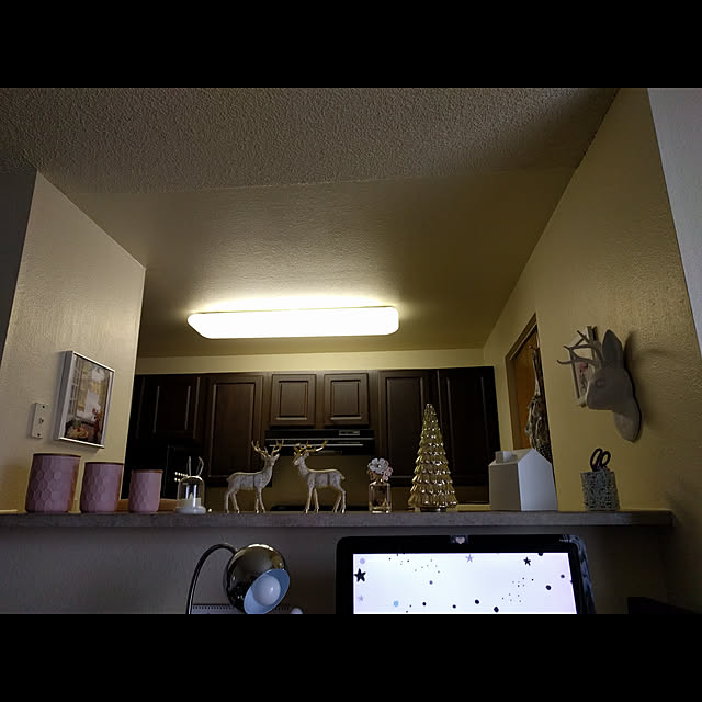 blinkie_003さんの実例写真