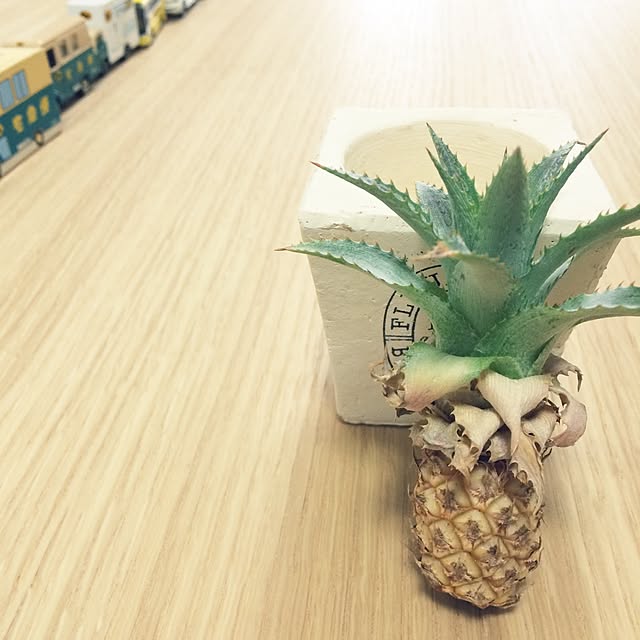 cstenmさんの実例写真