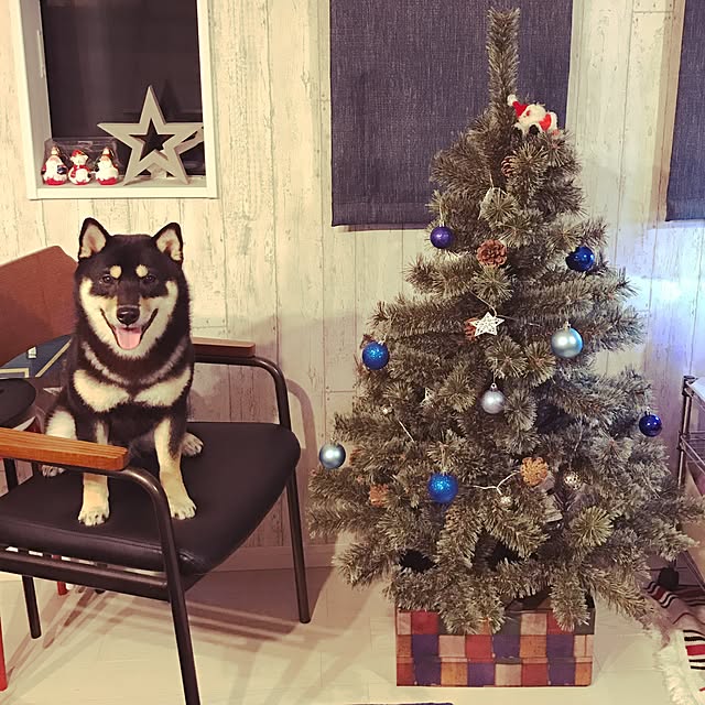 Yuさんの実例写真