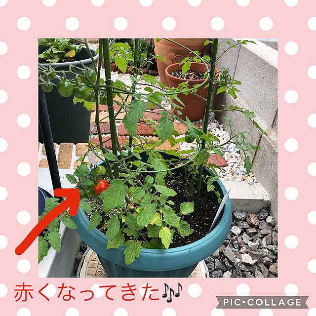 okachanさんの実例写真