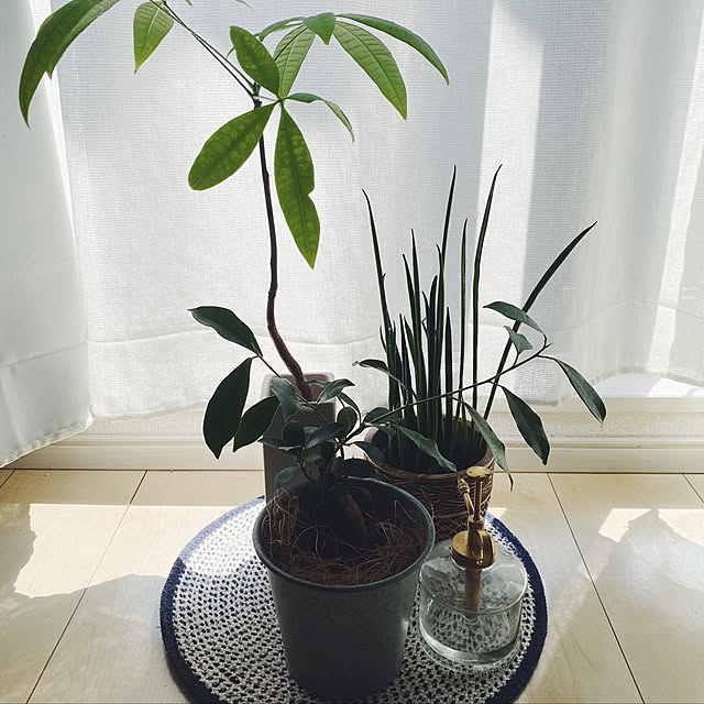 makkyさんの実例写真