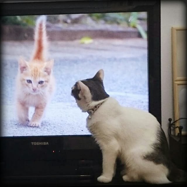 Lukiさんの実例写真