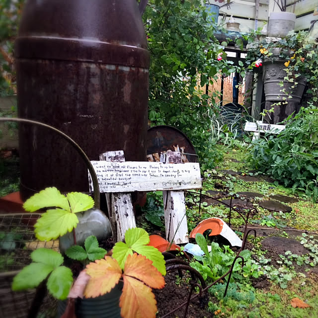 kokko3さんの実例写真