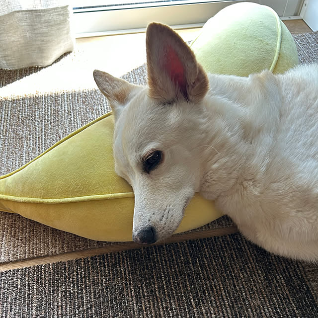tanboさんの部屋
