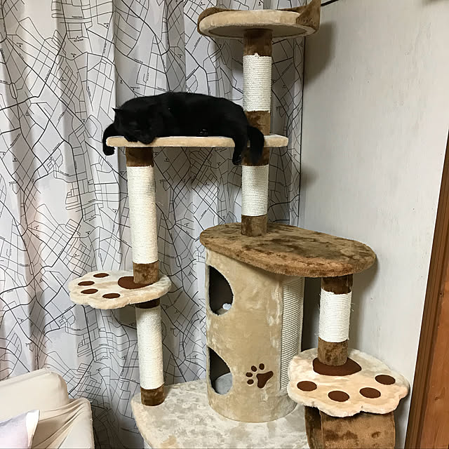 kami_haさんの実例写真