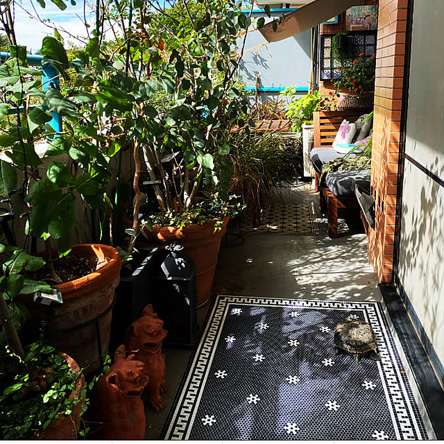 amyさんの部屋