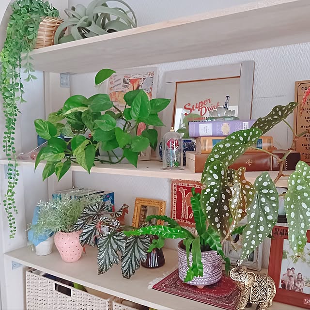 rumi_ebiさんの実例写真