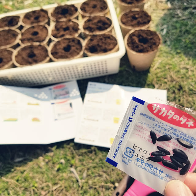 miiさんの実例写真