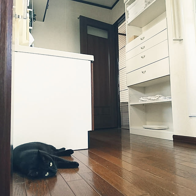 Kさんの実例写真