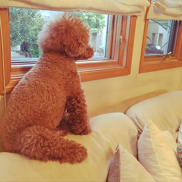 happy703さんの実例写真