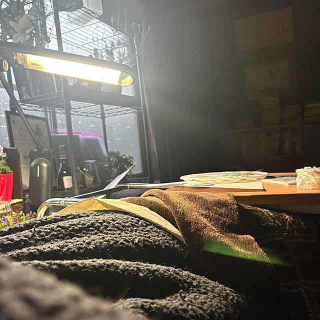 pandasさんの実例写真