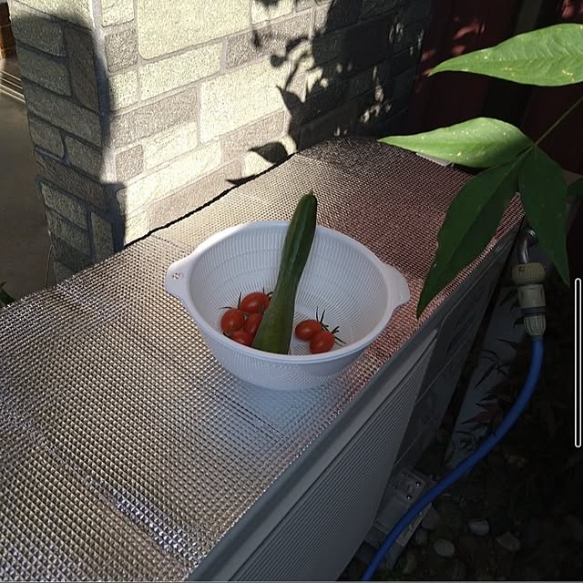 ameamekaasanさんの実例写真