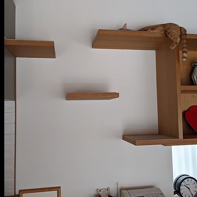 nyanzaurusさんの実例写真