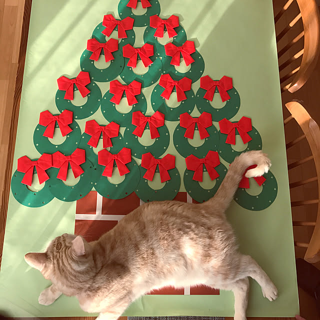 hiyupan88さんの実例写真