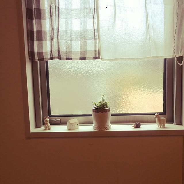 Mikaさんの実例写真
