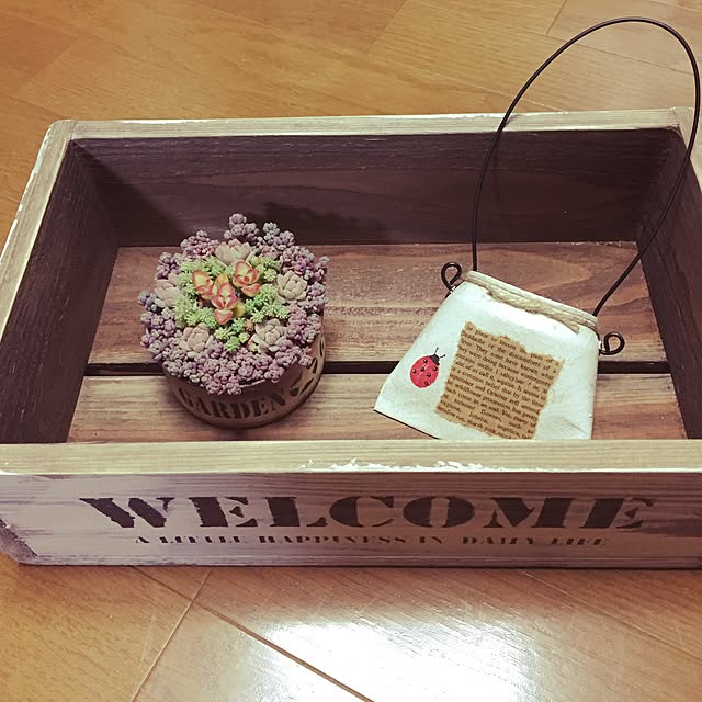 Mayuさんの実例写真