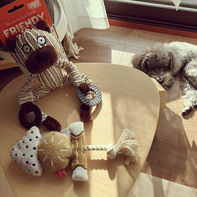coochanさんの部屋