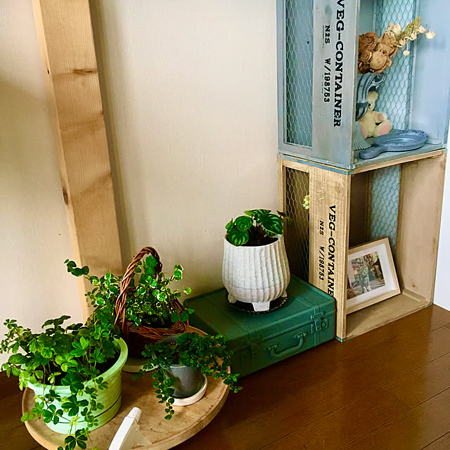naokoさんの実例写真