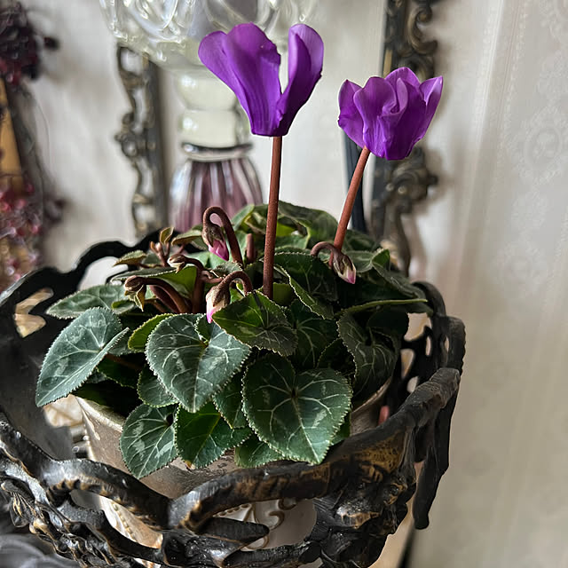 AYUKOさんの部屋