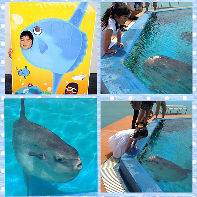 pepeさんの実例写真