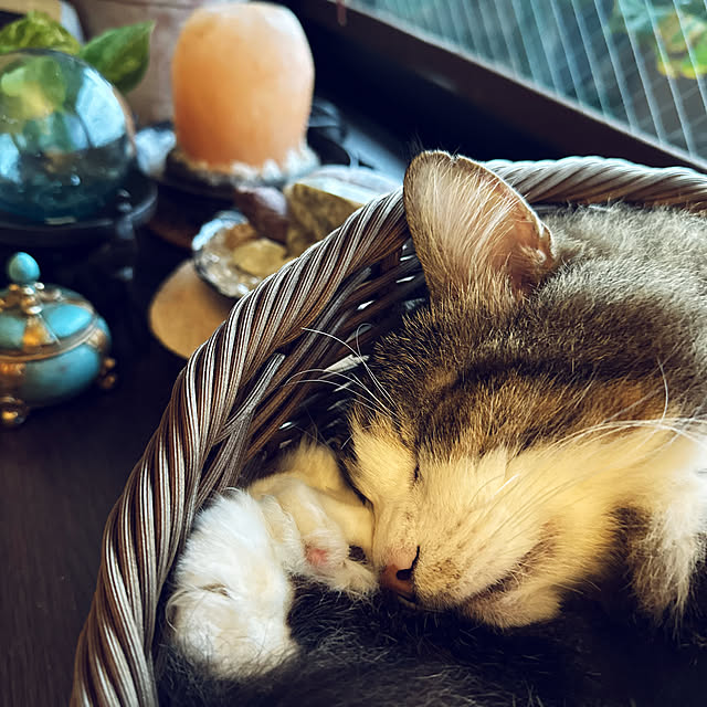 Kyouさんの実例写真