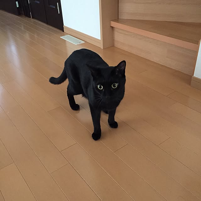 yuki0511さんの実例写真